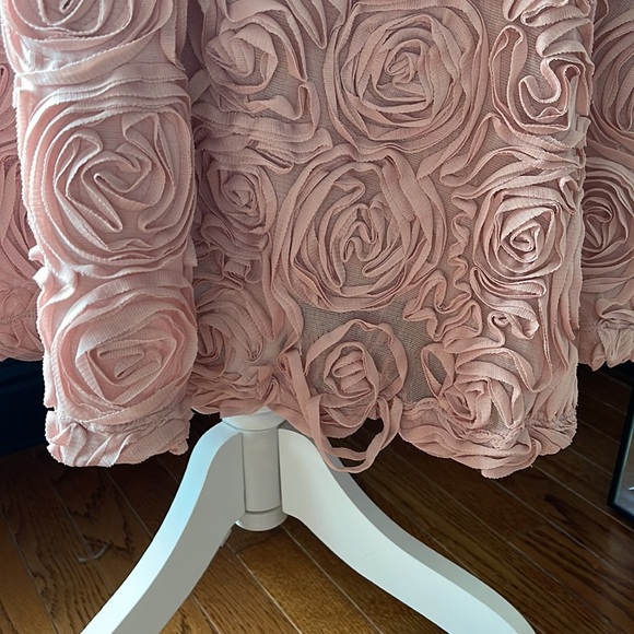 Anthropologie Skirt - Picture 3 of 5